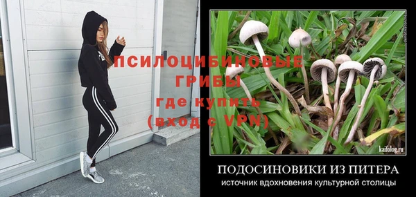 гидра Аркадак