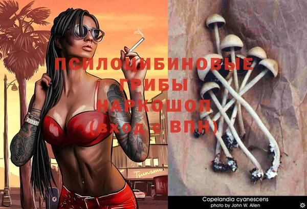гидра Аркадак