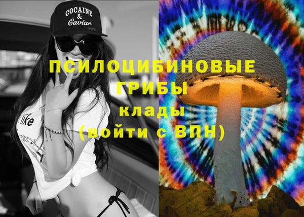 гидра Аркадак